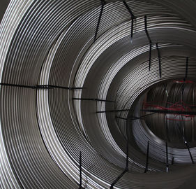 Un buen precio. Tubo de la bobina del acero inoxidable de ASTM A269/A249 en línea