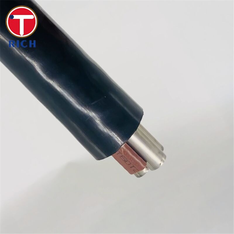 Tubo sin costuras de acero inoxidable de núcleo múltiple con recubrimiento de plástico para la construcción naval en los grados 304L/316L/Duplex 2205 y técnicas de estiramiento en frío/rollado en caliente